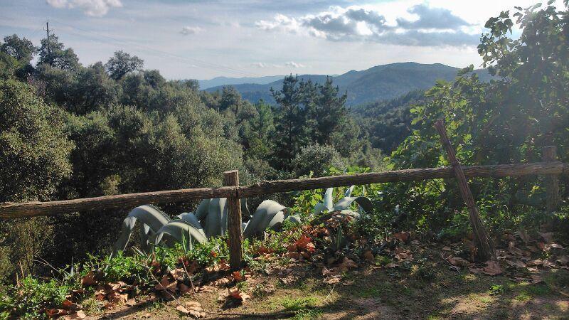 Can Canaleta Hotel Rural Santa Coloma De Farners Esterno foto